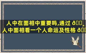 人中在面相中重要吗,通过 🕸 人中面相看一个人命运及性格 🕸